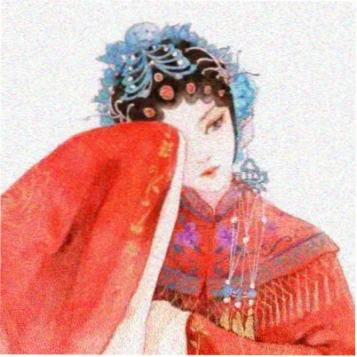 读者阿禾头像